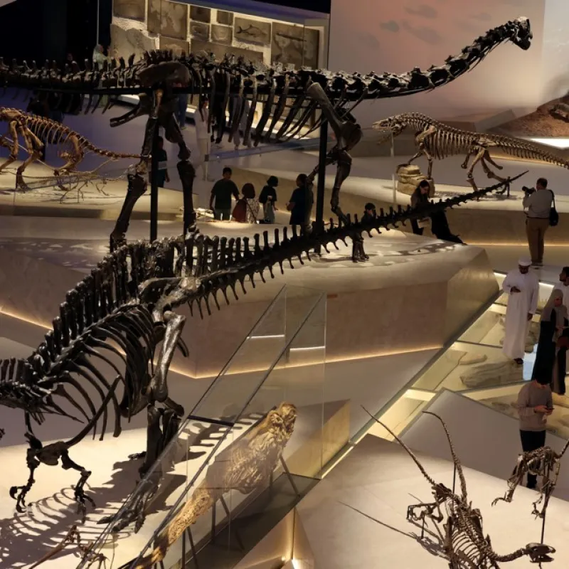 Dino