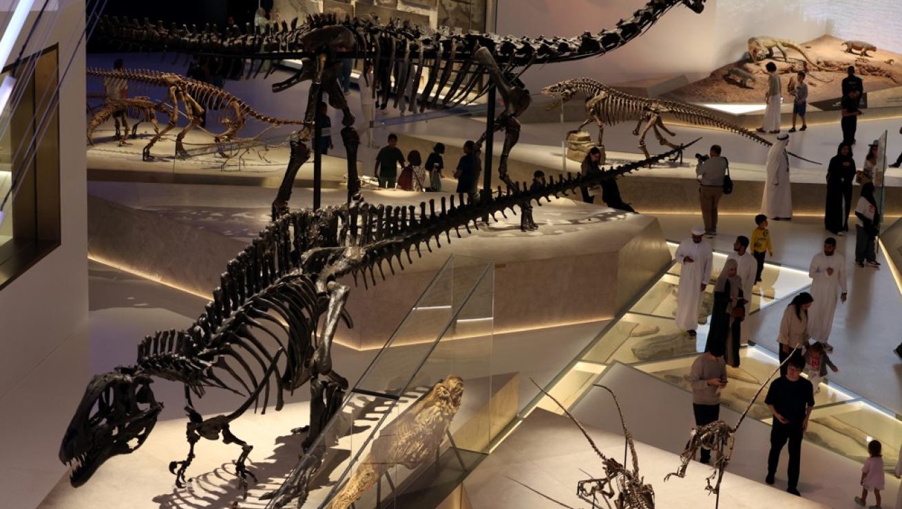 Dino